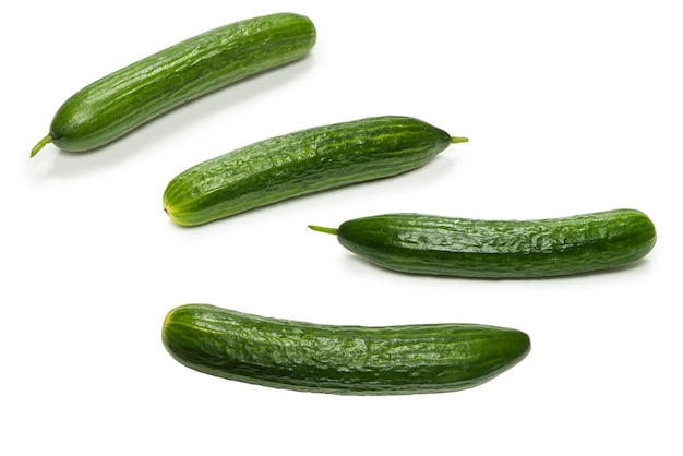  바탕 에 고립 된 호박