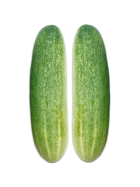 Cucumber slice isolated on a white background