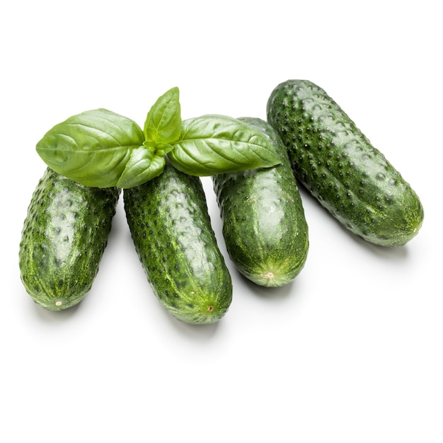 Cucumber vegetable and basil leaves isolated on white background cutout