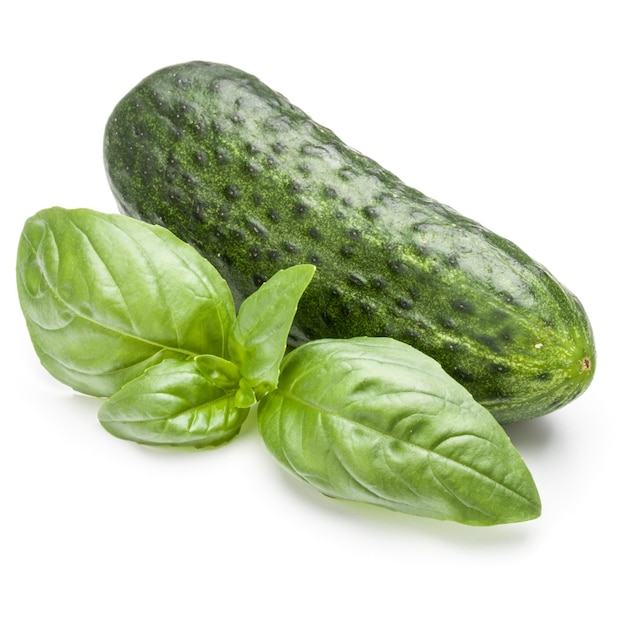 Cucumber vegetable and basil leaves isolated on white background cutout