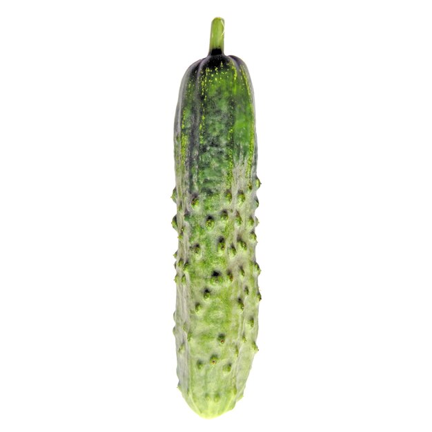 Cucumber vegetable isolated