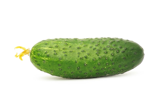 Cucumber