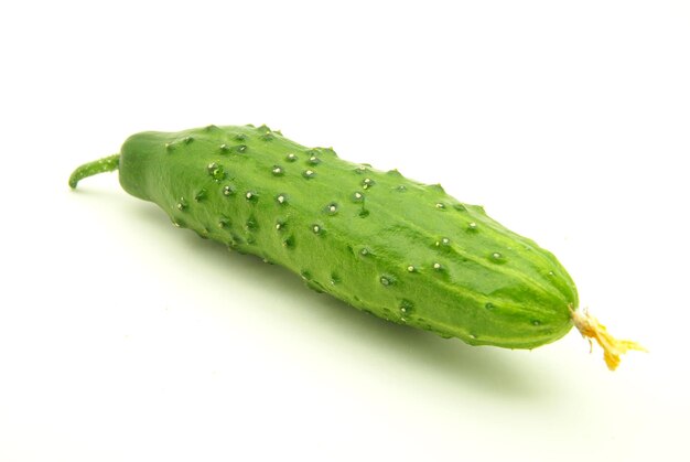 Cucumber