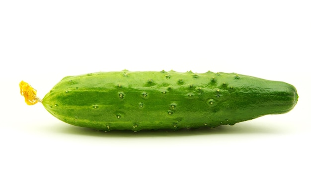 Cucumber