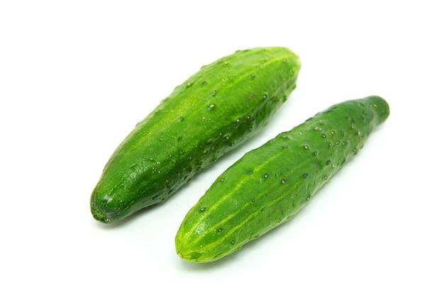 Cucumber