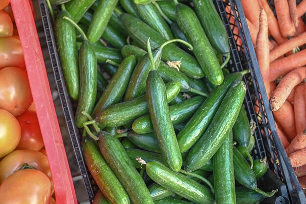 cucumbers in a box on the street near the store 1