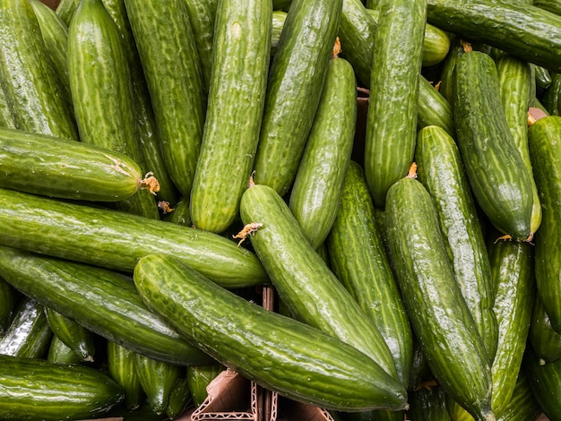Cucumbers on the counter in the store cucumbers in closeup cucumbers background