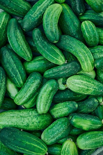 Cucumbers green organic background