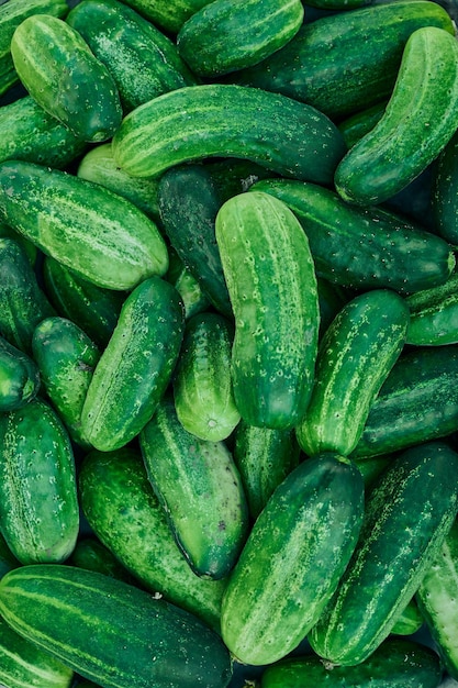 Cucumbers green organic background