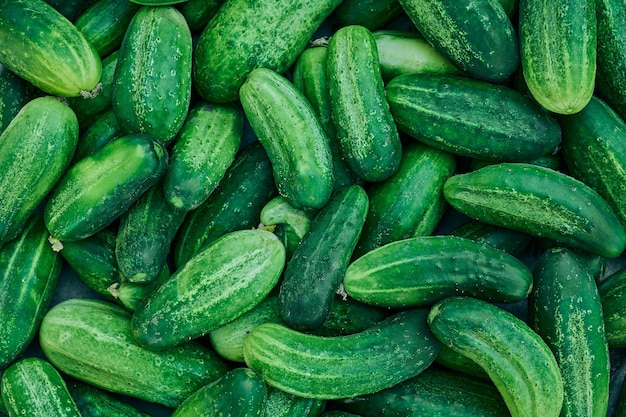 Cucumbers green organic background