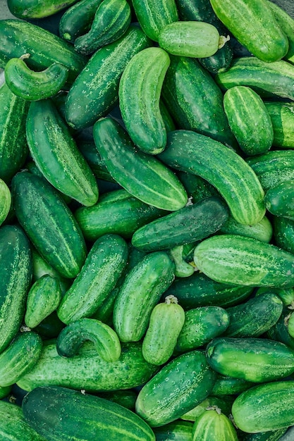 Cucumbers green organic background