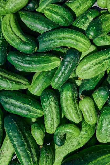 Cucumbers green organic background