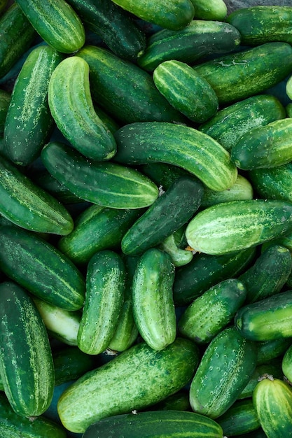 Cucumbers green organic background