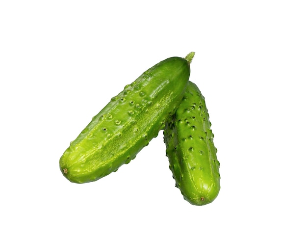 Cucumbers isolated on white background Fresh green cucumber natural vegetables organic food