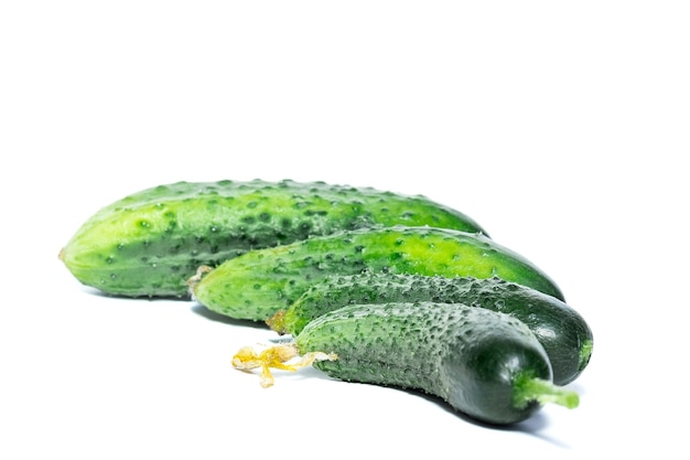 Cucumbers isolated on white