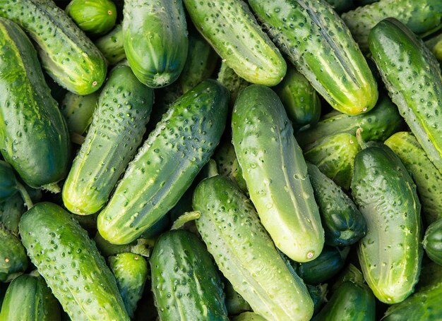 cucumbers top view