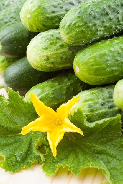 Cucumbers with yellow flower and leaves on wooden table