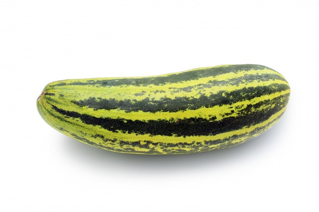 Cucumis melo 