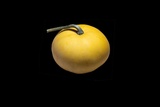 Cucurbita pumpkin on a black isolated background