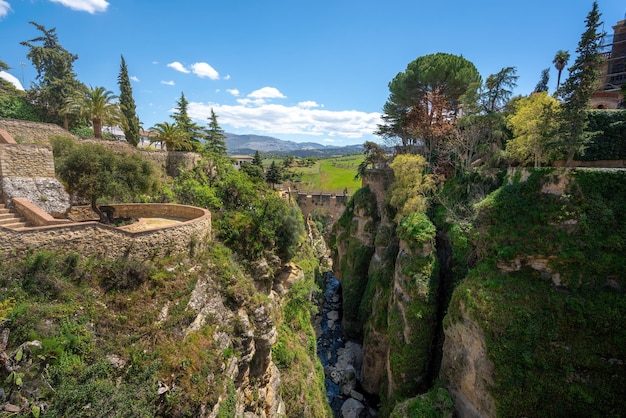 Photo cuenca gardens and puente viejo bridge at el tajo canyon ronda andalusia spain