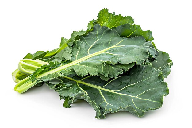 Culinary Excellence Realistic Photograph of Collard Greens