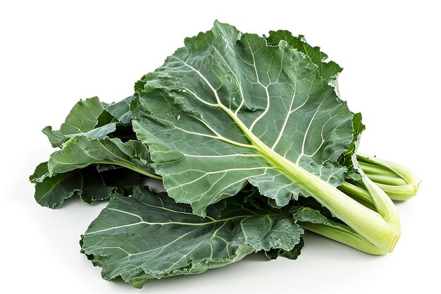 Culinary Excellence Realistic Photograph of Collard Greens