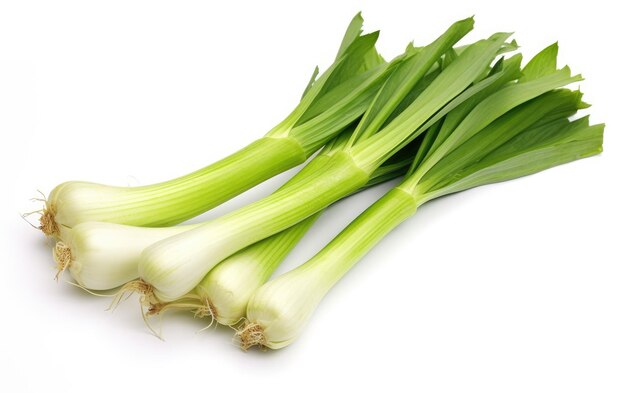 Culinary Leeks on White Background