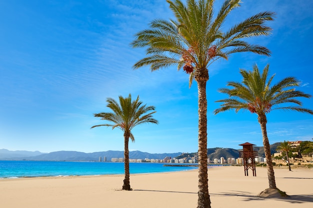 Cullera Playa los Olivos strand Valencia in Spanje