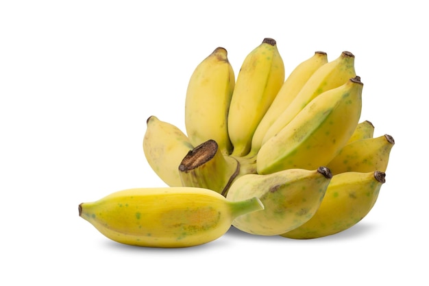 Cultivated banana isolated on a white background healthy fruit concept