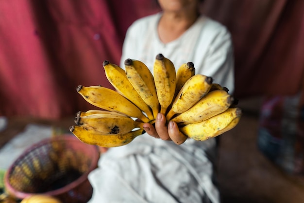 Cultivated banana for processing Banana in the hand of the seller