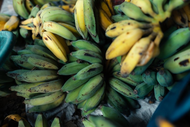 Cultivated banana for processing Banana in the hand of the seller