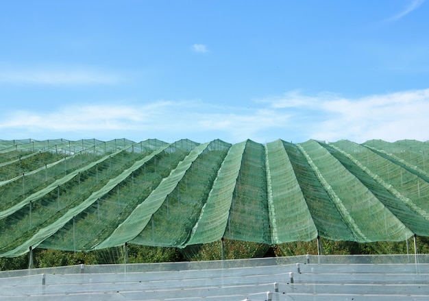 写真 空に照らされた耕作地