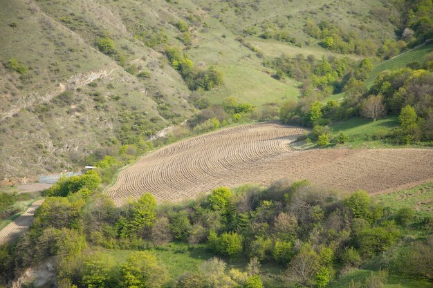 Cultivated land in mountain