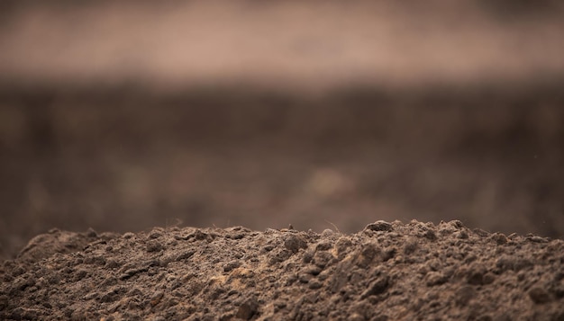 Photo cultivated soil in the field selective focus.