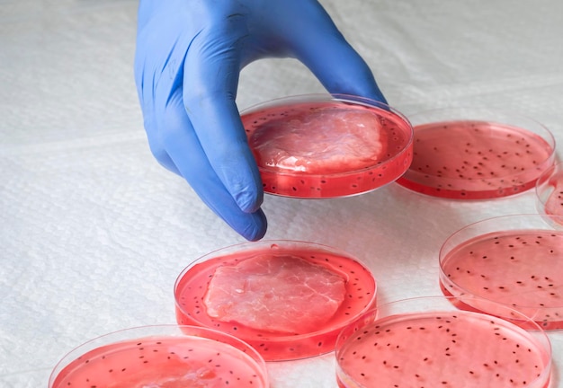 植物幹細胞からの培養ステーキ肉殺さない新しい食品革新実験室で育てられた肉のコンセプト