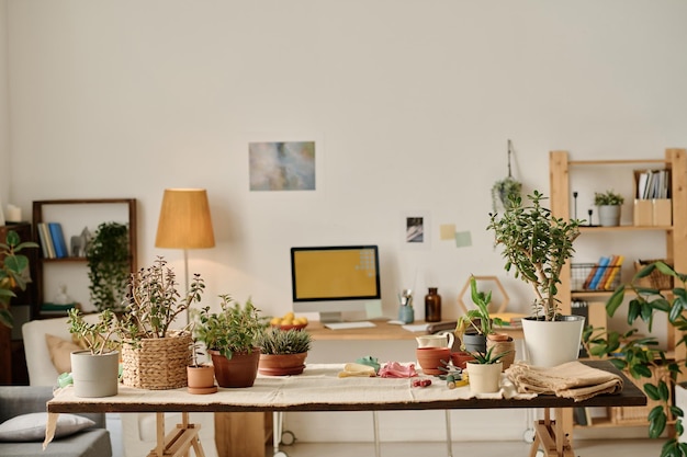 自宅の部屋でさまざまな種類の緑の植物を栽培する