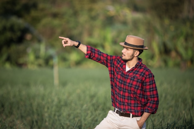 Cultivator on the background.