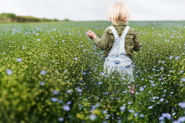 Cultiveren Tuin Natuur Seizoensgebonden Groei Concept