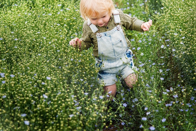 Cultiveren tuin natuur seizoensgebonden groei concept