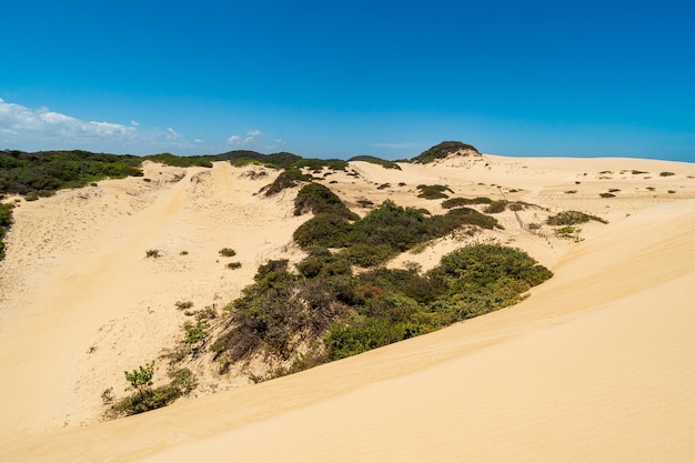 Cumbuco-duinen in Caucaia bij Fortaleza Ceara Brazilië