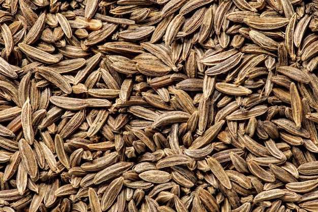 Cumin grains small seed background uniform texture bunch in bulk closeup macro top view