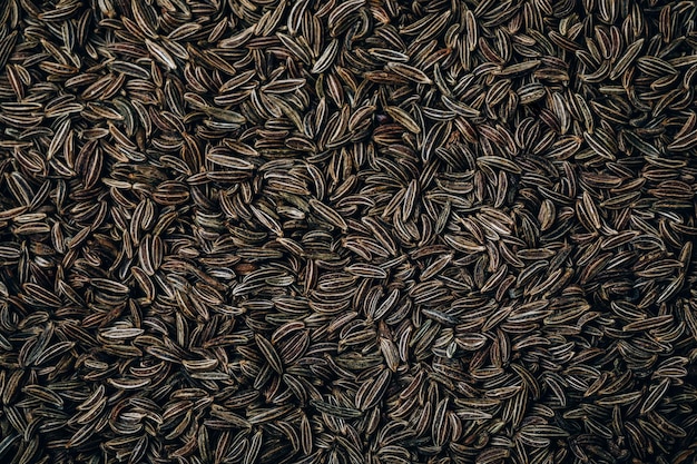 Cumin seeds or caraway background