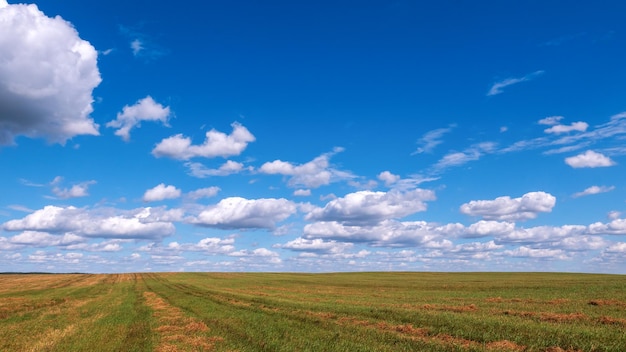 Кучевые облака над скошенным полем Вид на горизонт