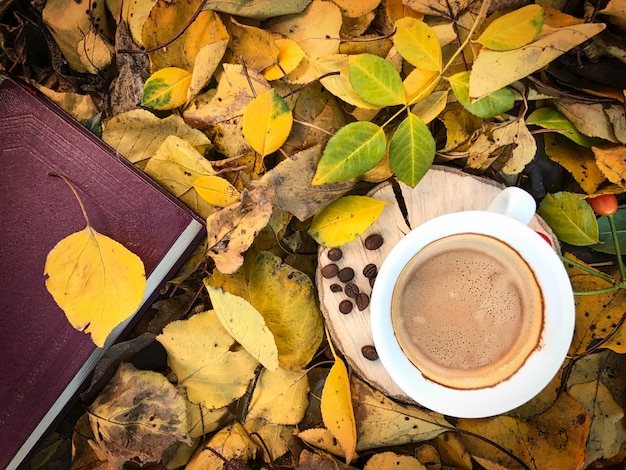 Tazza di caffè nero tra le foglie autunnali cadute