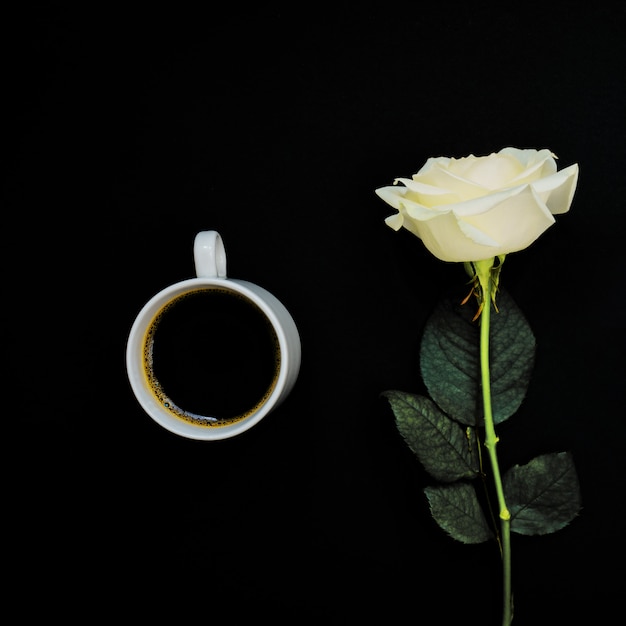 Cup of black coffee and white rose on black, Top view, copy space. Toned image