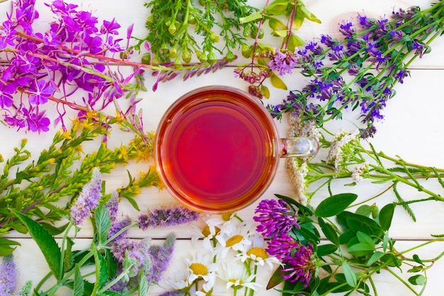 The cup of black herbal tea with branches of medicinal herbs on wooden table