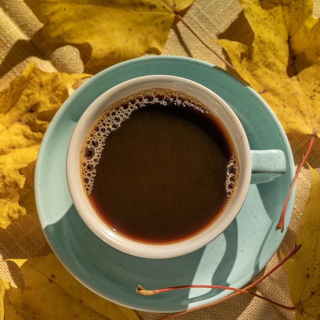 Cup coffee over autumn yellow leaves background