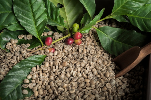 Foto tazza di caffè, borsa e scoop su vecchio fondo arrugginito