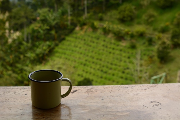 Cup of coffee in a coffee plantation salento quindio department colombia