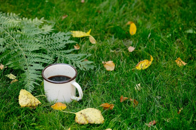 Cup of coffee on the grass next to a fern leaf